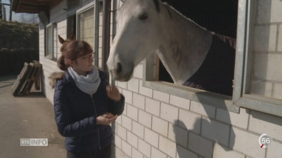 19h30 - JU: une affaire de zoophilie secoue le canton - Play RTS