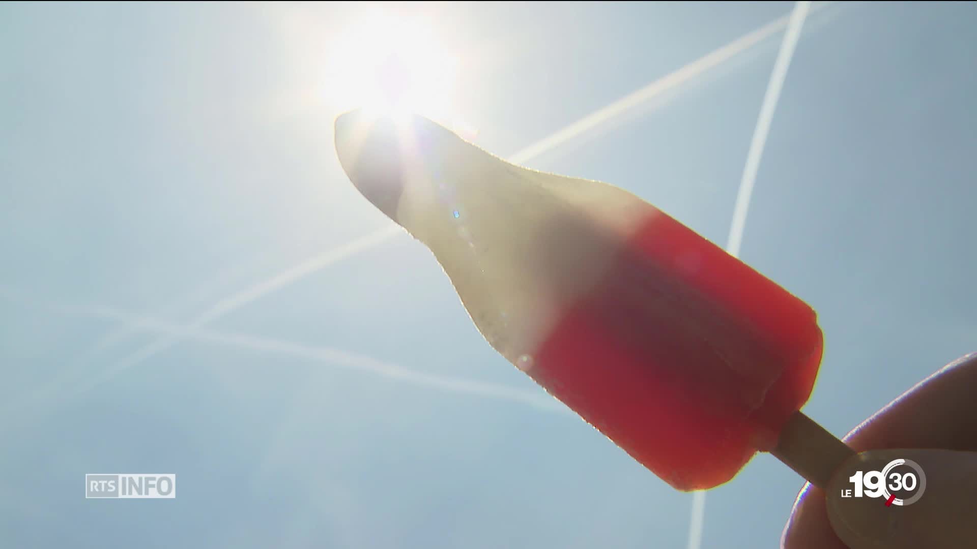 Camp - Fusée, vis à glace