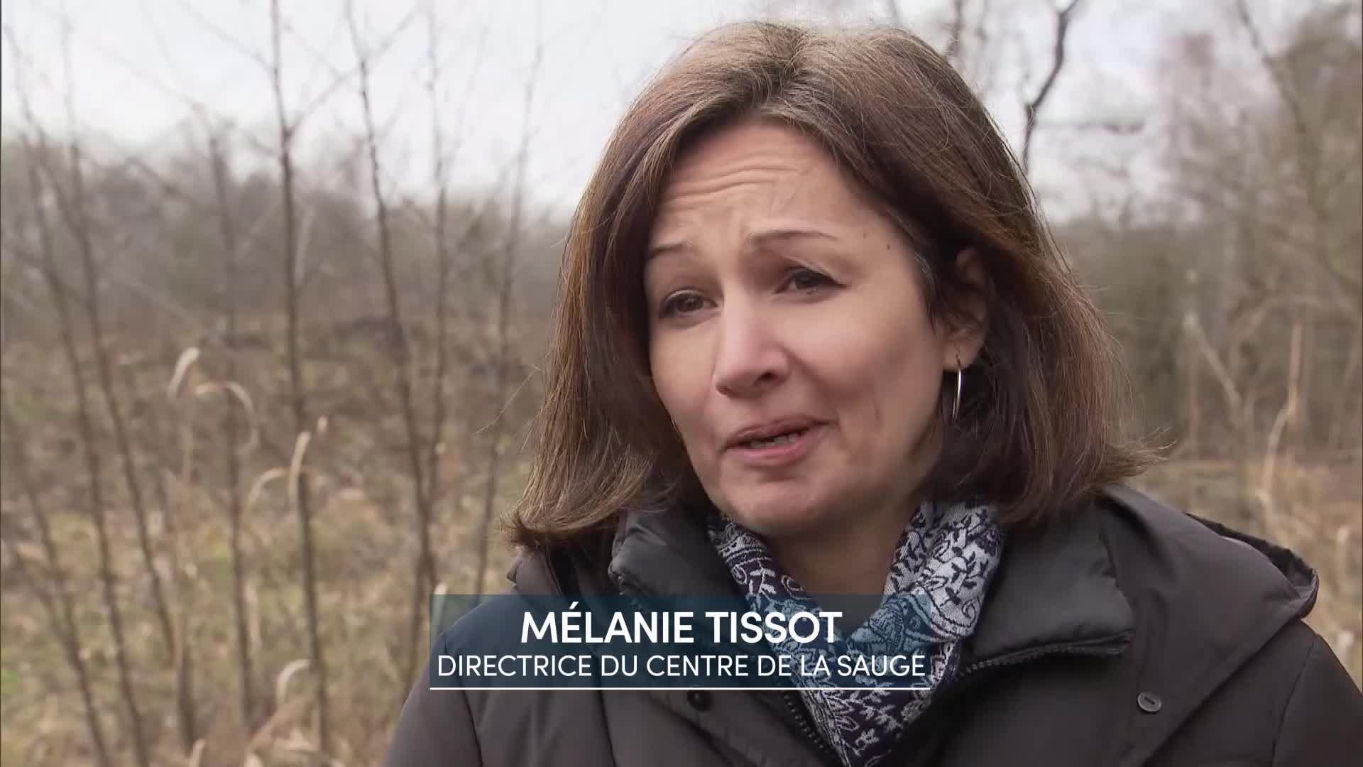 Entretien avec M lanie Tissot Directrice du centre de La Sauge