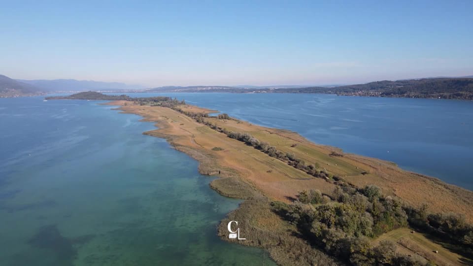 Couleurs locales Au milieu du lac