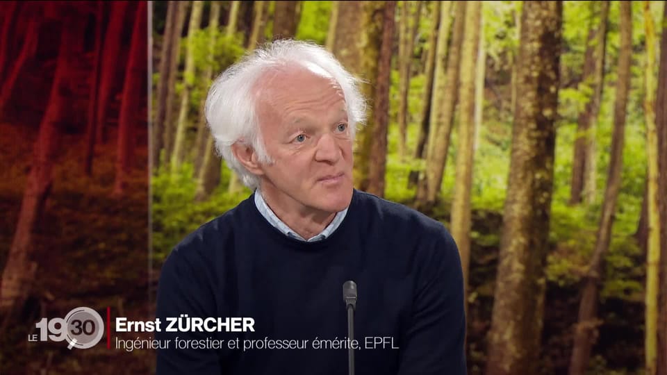 19h30 L'ingénieur forestier Ernst Zürcher évoque les bienfaits des