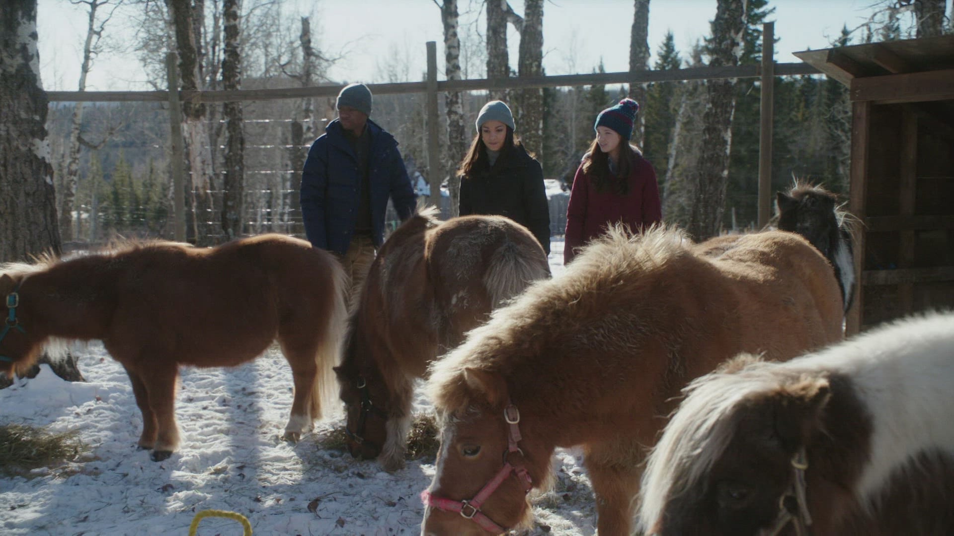 Les Princes De L amour Saison 9 épisode 18 Heartland - L'amour dans la balance (Episode 17/18 - Saison 9) - Play RTS