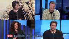 FORUM - Le grand débat - Les corbeaux freux envahissent nos villes: cohabiter ou les faire fuir?