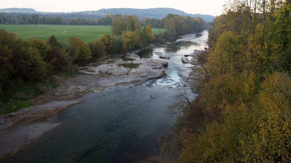 Die Suche nach der Nadel im Heuhaufen
