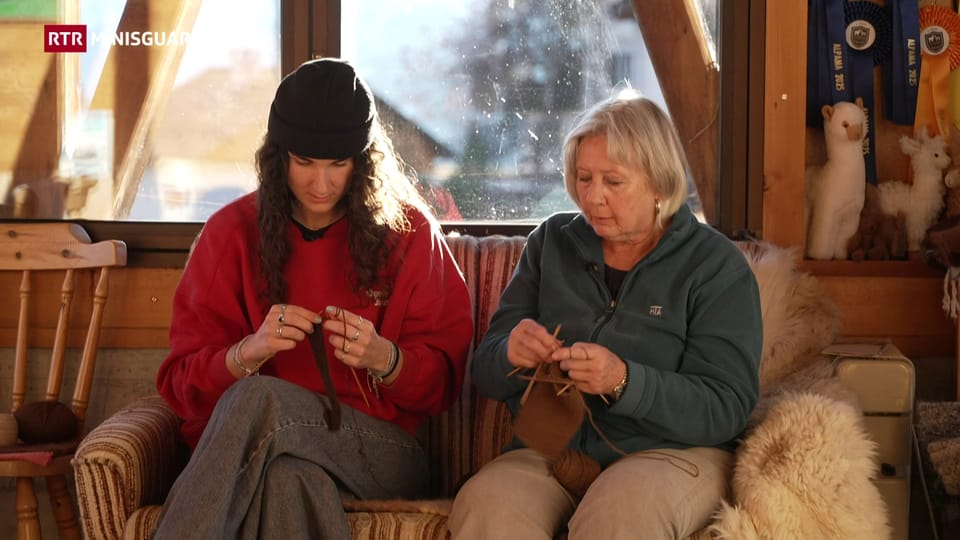 La launa dals alpacas