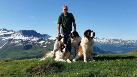 Storie di cani svizzeri