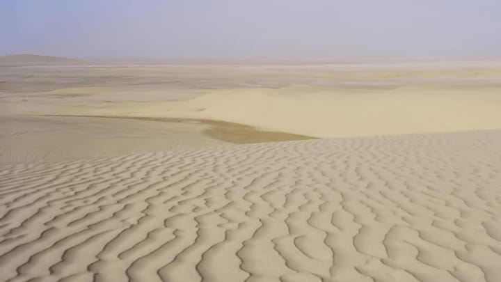 Wie die Wüste urbar werden soll