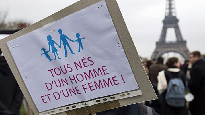 Frankreich - wieso die konservative Front gegen die Homo-Ehe?
