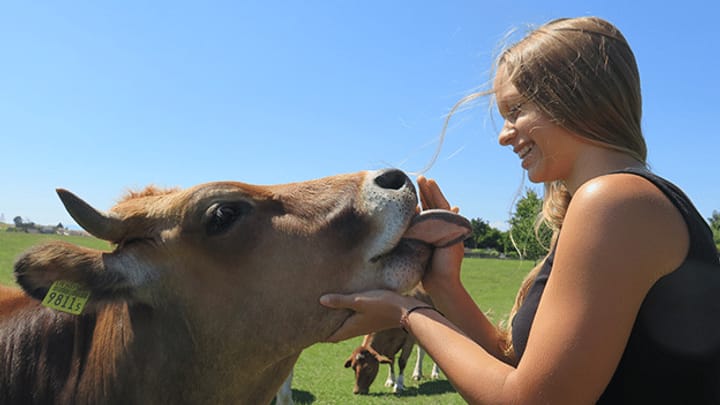 Lebenshof statt Schlachthaus: Emilie rettet eine Kuh
