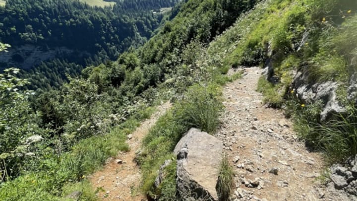 Aus dem Archiv: Zwei tödliche Wanderunfälle im Alpstein kurz nacheinander