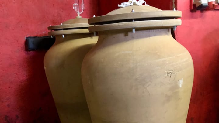 Il suc da las ivas da Sagogn vegn l’emprima giada fermentà en amforas d'arschiglia – la visita en il tschaler a Malans