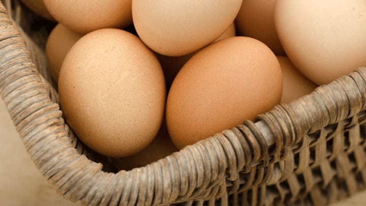Gefälschte Bio-Eier: Vorerst Entwarnung