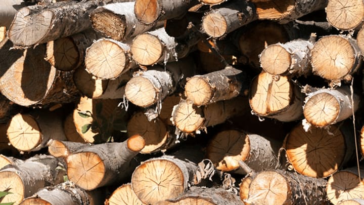 Brennholz: Für zehn Kilo bezahlt, aber nur 8,5 Kilo erhalten