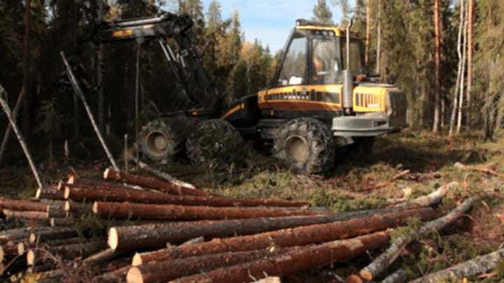 Kein Umweltlabel mehr für IKEA-Holz aus Karelien