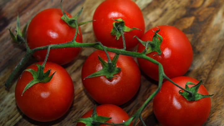 Die Tomate – der Sommer auf dem Teller
