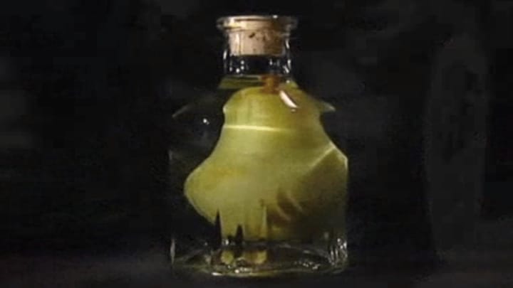 Wie die Birne in die Flasche kommt
