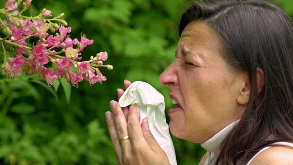 Schweiz testet neues System zur Pollenmessung