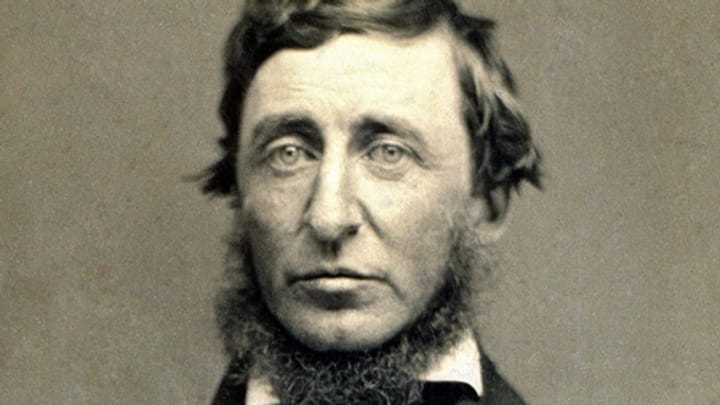 Henry D. Thoreau: ein grosser Literat, ein Rebell und Naturfreund