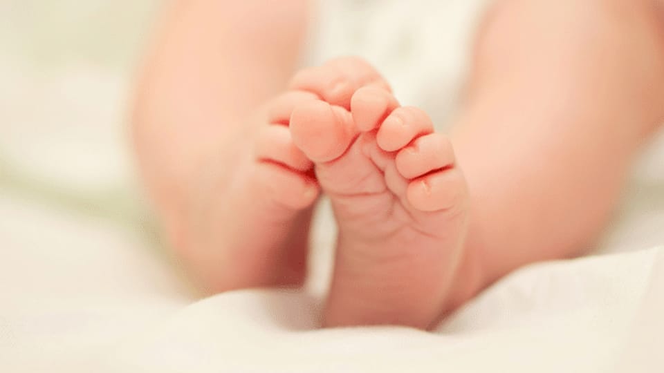 Soll die Leihmutterschaft legalisiert werden?