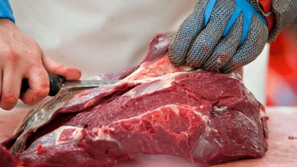 Tierschützer wollen weniger Südamerika-Pferdefleisch in Beizen