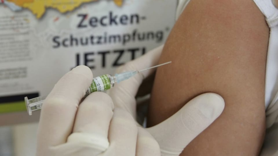 Wer jetzt eine Zecken-Impfung macht, ist in einem Monat geschützt