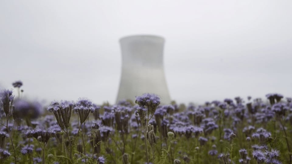 Mit Atomkraft den Klimawandel stoppen?