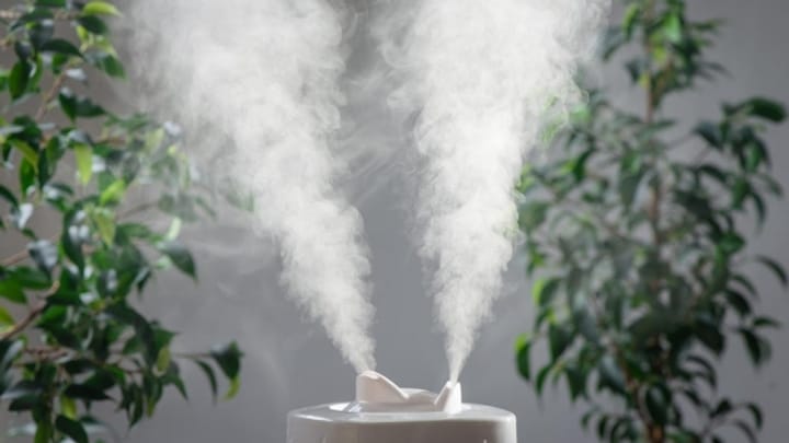 Tipps gegen trockene Luft in Innenräumen