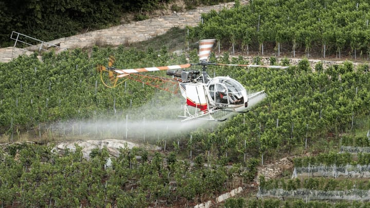 Pestizide in Schweizer Weinen