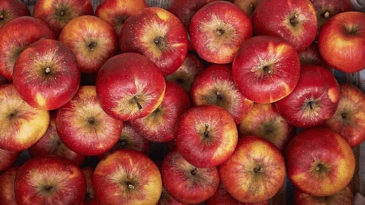 Bio-Äpfel aus Neuseeland sorgen für rote Köpfe