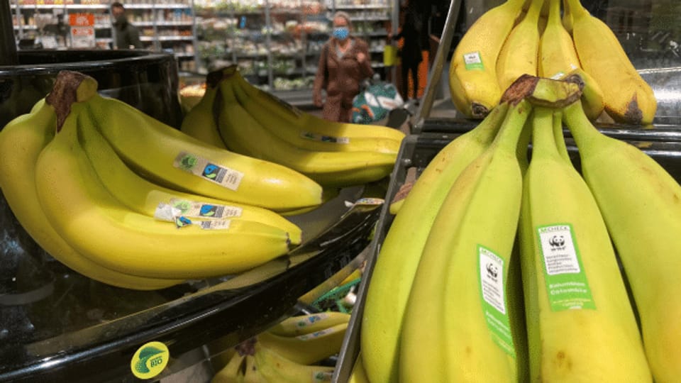 WWF Bananen: zwar fair, aber nicht Bio