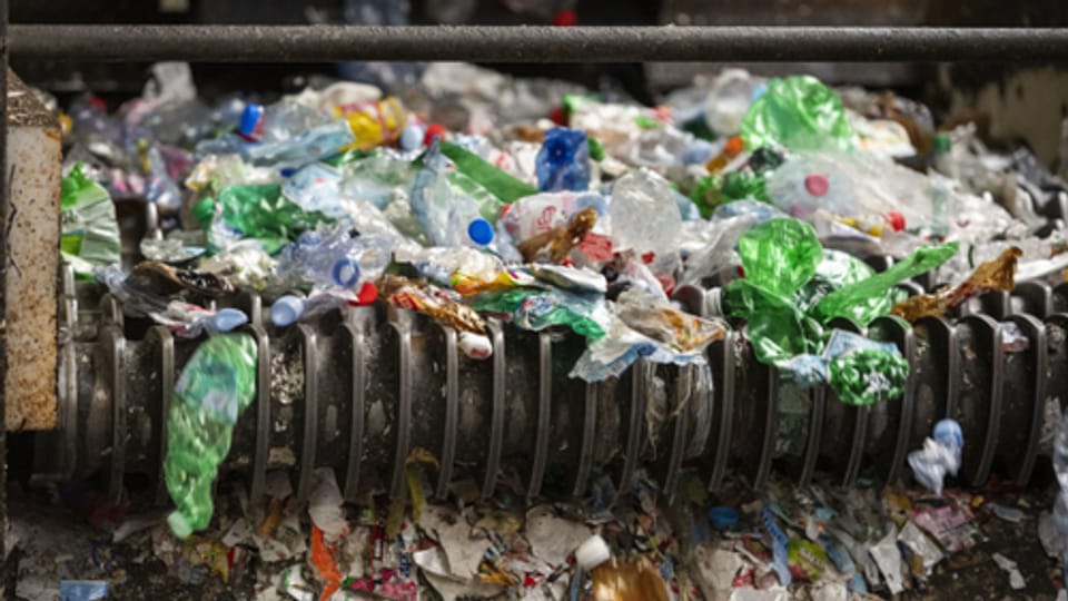 Plastik sammeln und recyceln: Sinnvoll oder Alibiübung?
