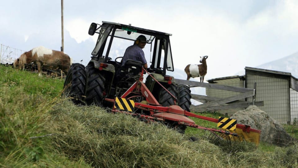 Die schweren Unfälle bei Bäuerinnen und Bauern nehmen zu