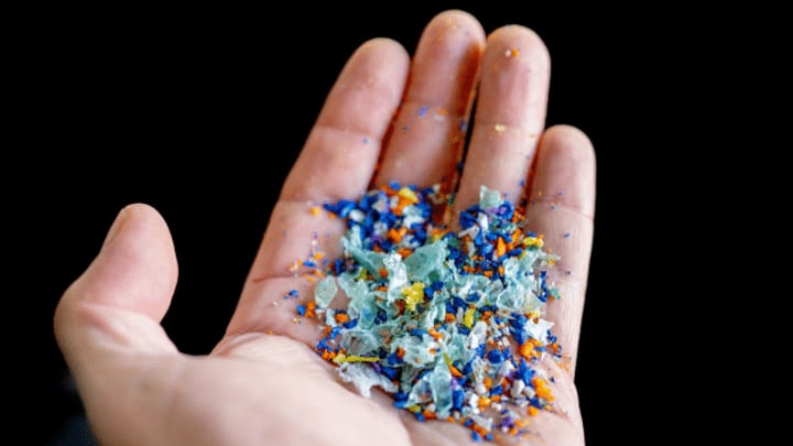 Archiv: Mikroplastik – zu Wasser, zu Land und in aller Munde
