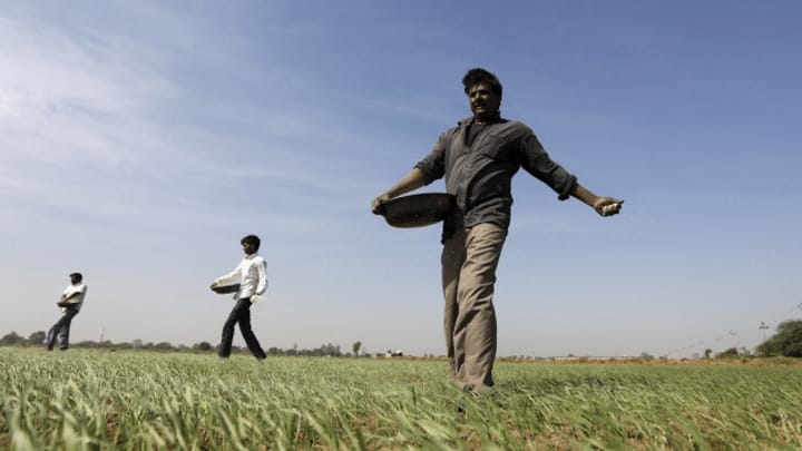 Pater hilft Biobauern in Indien