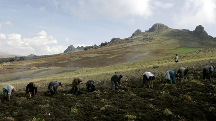 Klimawandel in Peru - Der Naturkalender ist durcheinandergeraten