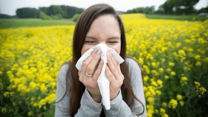 Pollen-Allergien plagen immer mehr Menschen
