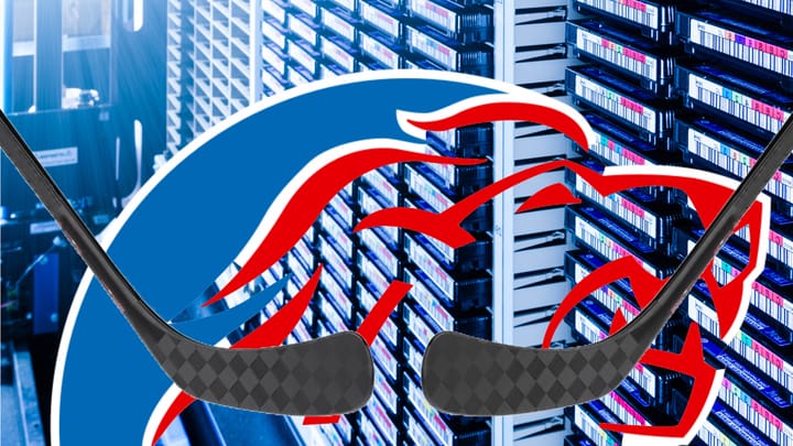 Bären-und Löwenhunger auf Daten: Was bringt's den Eishockeyclubs?