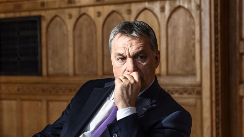 Ungarisches Land gehört zunehmend Leuten aus Orbans Umfeld