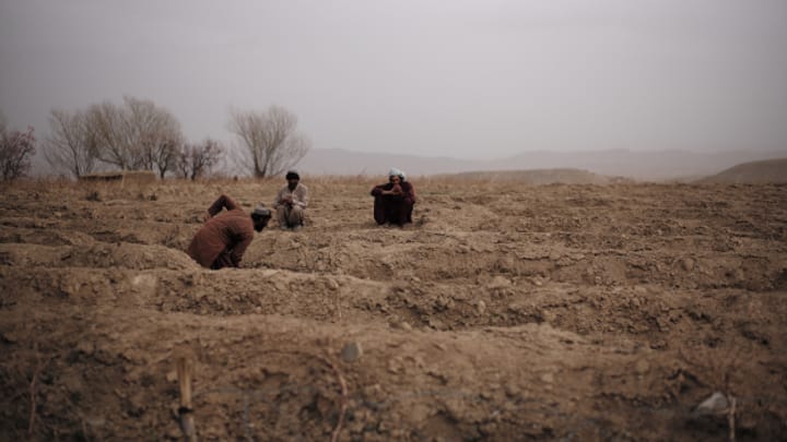 Aus dem Archiv: Die Taliban und der Stadt-Land-Graben