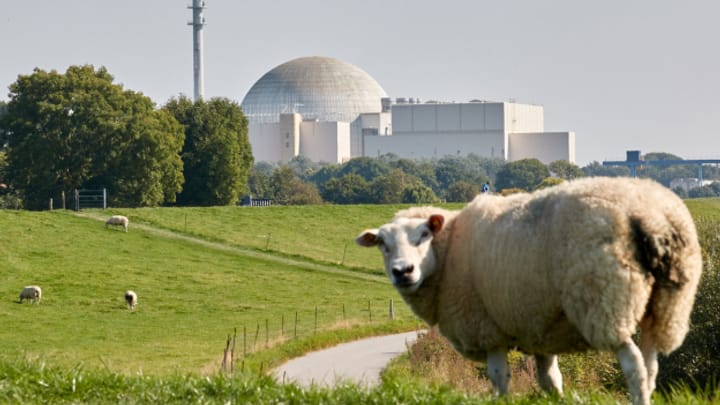 EU-Parlament billigt Öko-Label für Atom- und Gaskraft