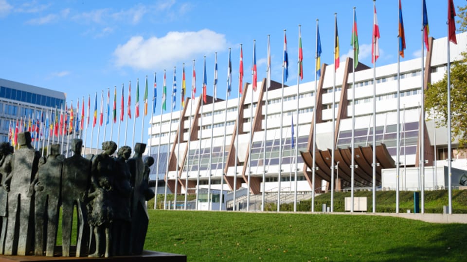 Europarat übernimmt Schweizer Modell in Sachen Kinderschutz