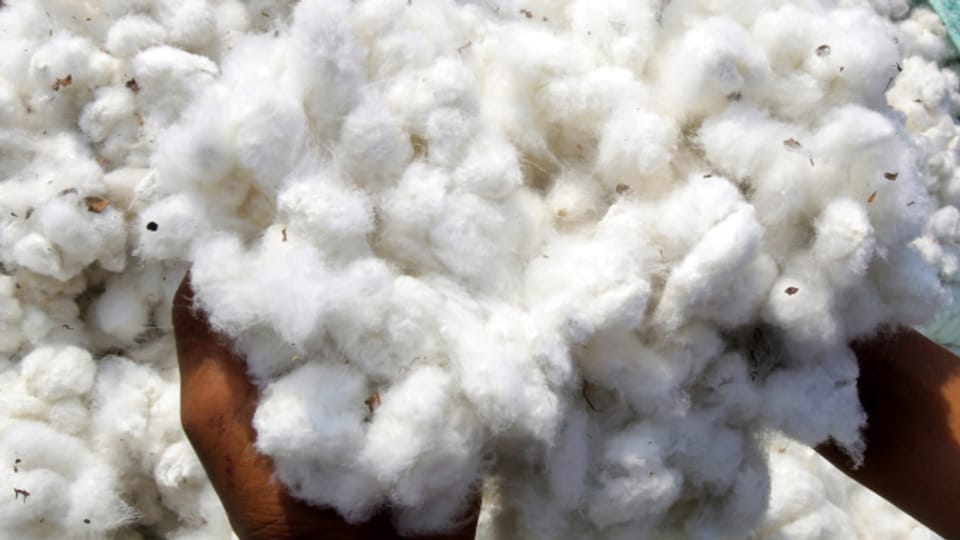 Mali verdient kaum noch an Baumwolle