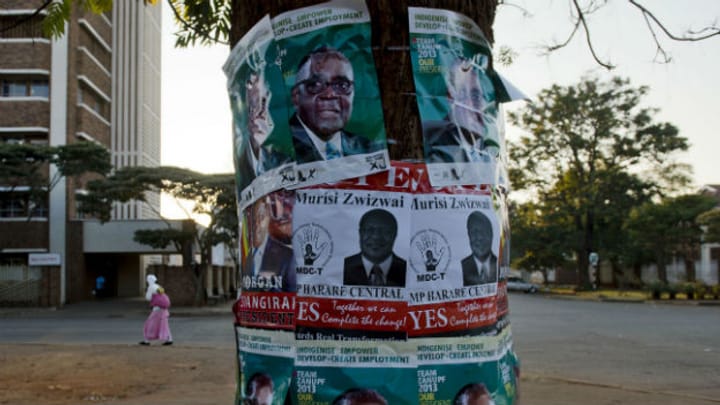 Simbabwe: «Die Politiker kümmern sich doch nur um ihre eigene Brut»