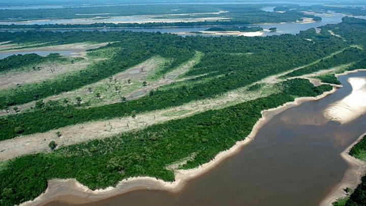 Millionenfonds soll Amazonasschutzgebiete sichern