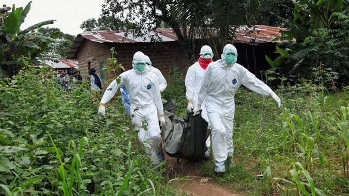 Ebola-Experte: «Keine geheimnisvolle Krankheit»