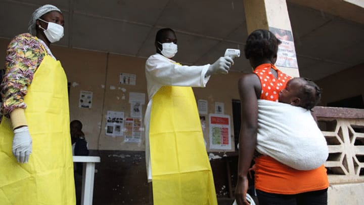 Ebola-Virus: Keine Gefahr zur weltweiten Pandemie