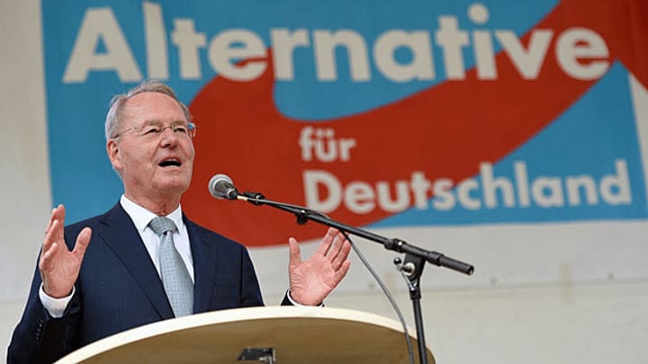 Die AfD - in der Lücke zwischen CDU/CSU und NPD