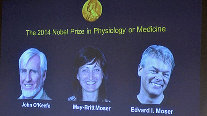 Nobelpreis für Medizin geht an drei Hirnforscher