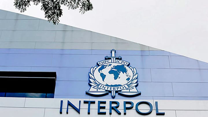 Interpol - nur ein «Informations-Broker»?