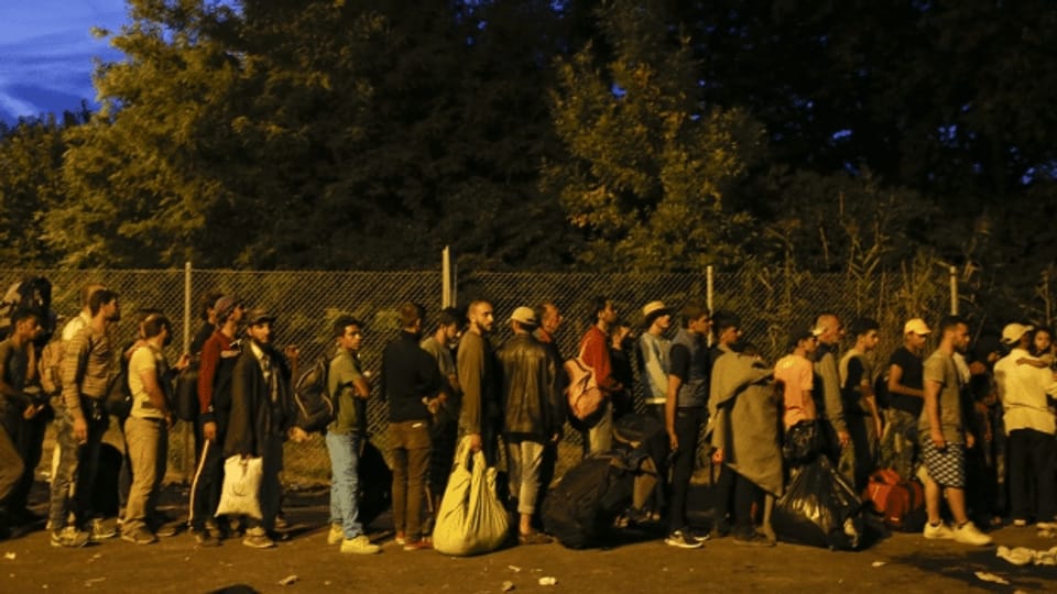 Ungarn schliesst Grenze: Wie weiter in Serbien?